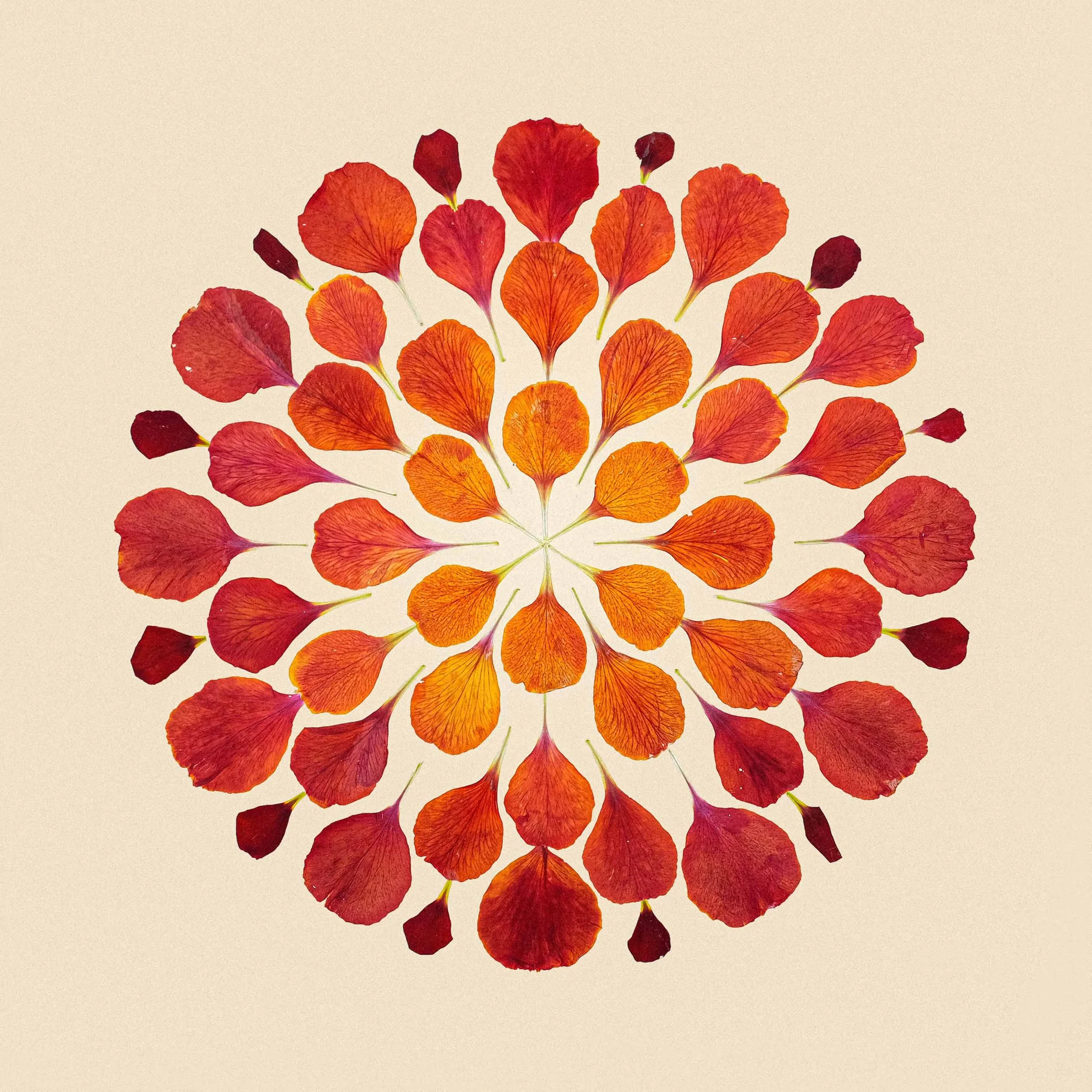 scope Art Flora Flora Miranda Data artworks | Lab101